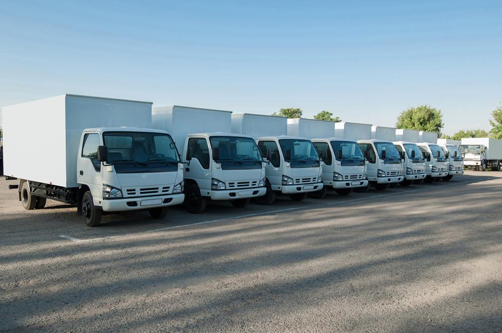Seguro Auto Individual e Frota